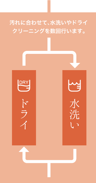 水洗い・ドライ