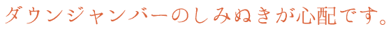 ダウンジャンバーのしみぬきが心配です。